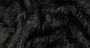 Black Mongolian