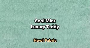 Cool Mint Luxury Teddy