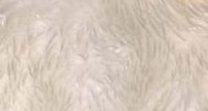 Feather White