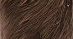 Brown Shaggy