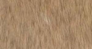 Tan Cubby Bear