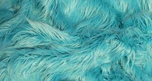 Turquoise Mongolian