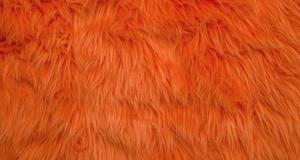 Punky Muppet Orange