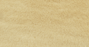 Camel Beaver/Seal