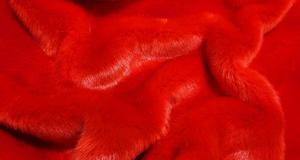 Stretch Red