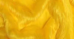 Golden Yellow Shaggy