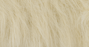 Camel Samoyed Husky