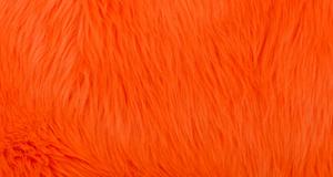 Orange Luxury Shag