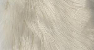 Ivory Luxury Shag