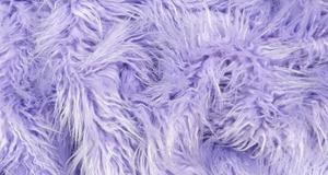 Lavender Curly Mongolian