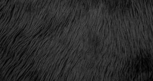 Punky Muppet Black