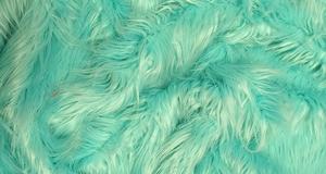Aqua Mongolian