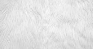 Punky Muppet White