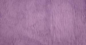 Punky Muppet Lavender