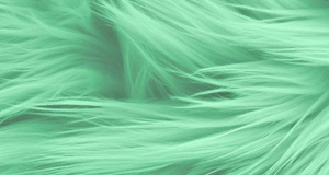 Punky Muppet Mint