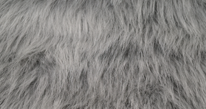 Silver Luxury Fox