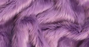 Violet Shaggy