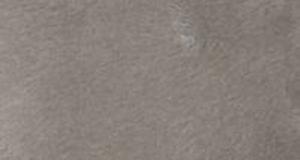Gray Short Pile