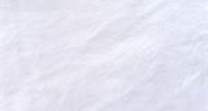 White Shaggy
