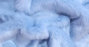 Baby Blue Short Shag