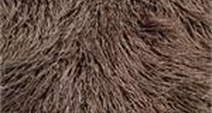 Brown Alpaca