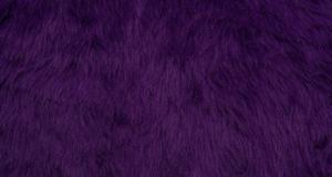Punky Muppet Purple