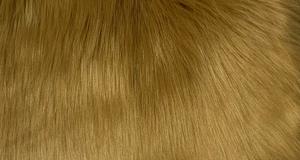 Caramel Luxury Shag