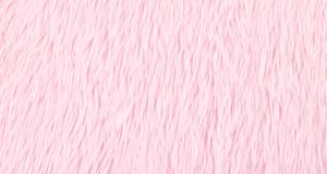 Dreamy Baby Pink