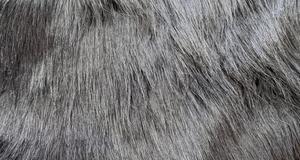 Arctic Fox Black