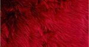 Dark Red Shaggy