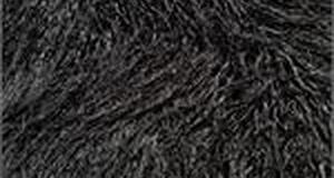 Black Alpaca