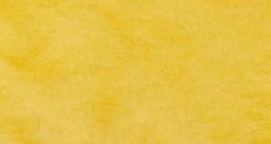 Sunshine Yellow Beaver/Seal