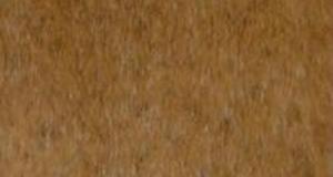 Pooh Short Teddy Bear