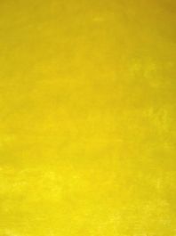 Bright Yellow Short Pile