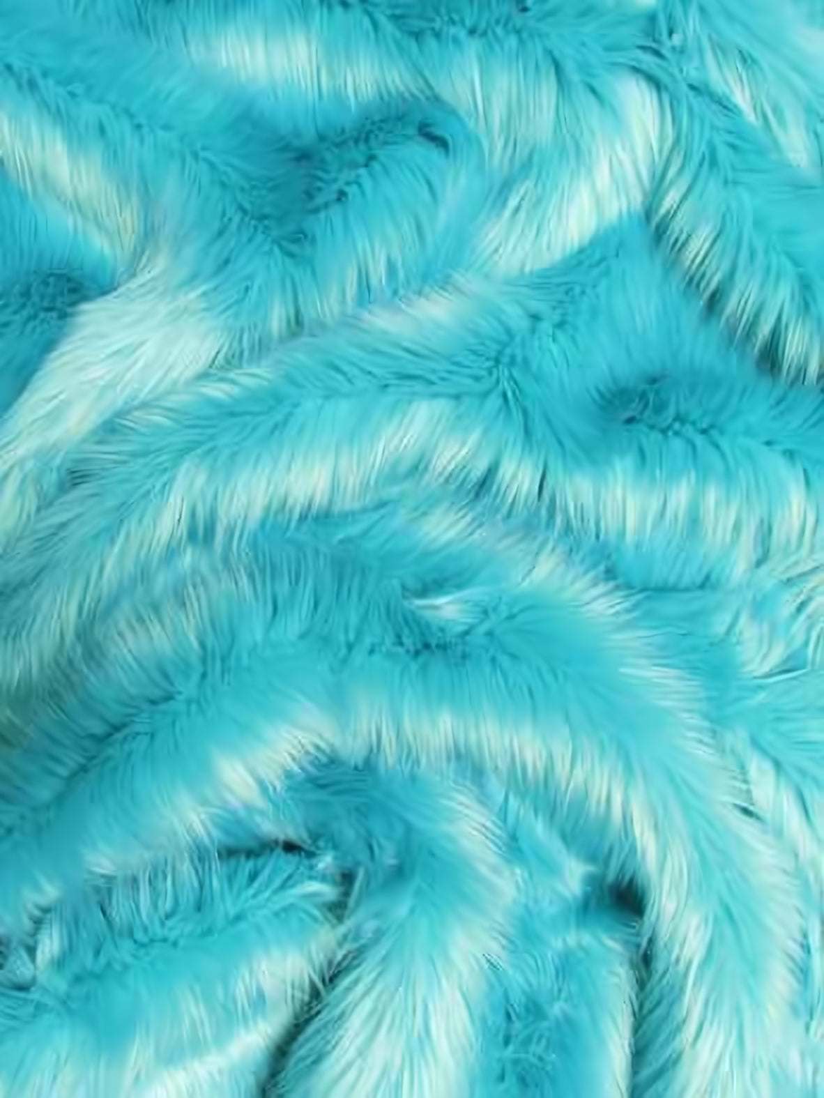 Turquoise Shaggy