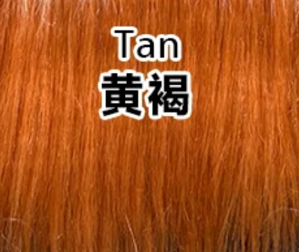 Tan 黄褐
