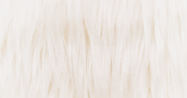 Ivory Monster