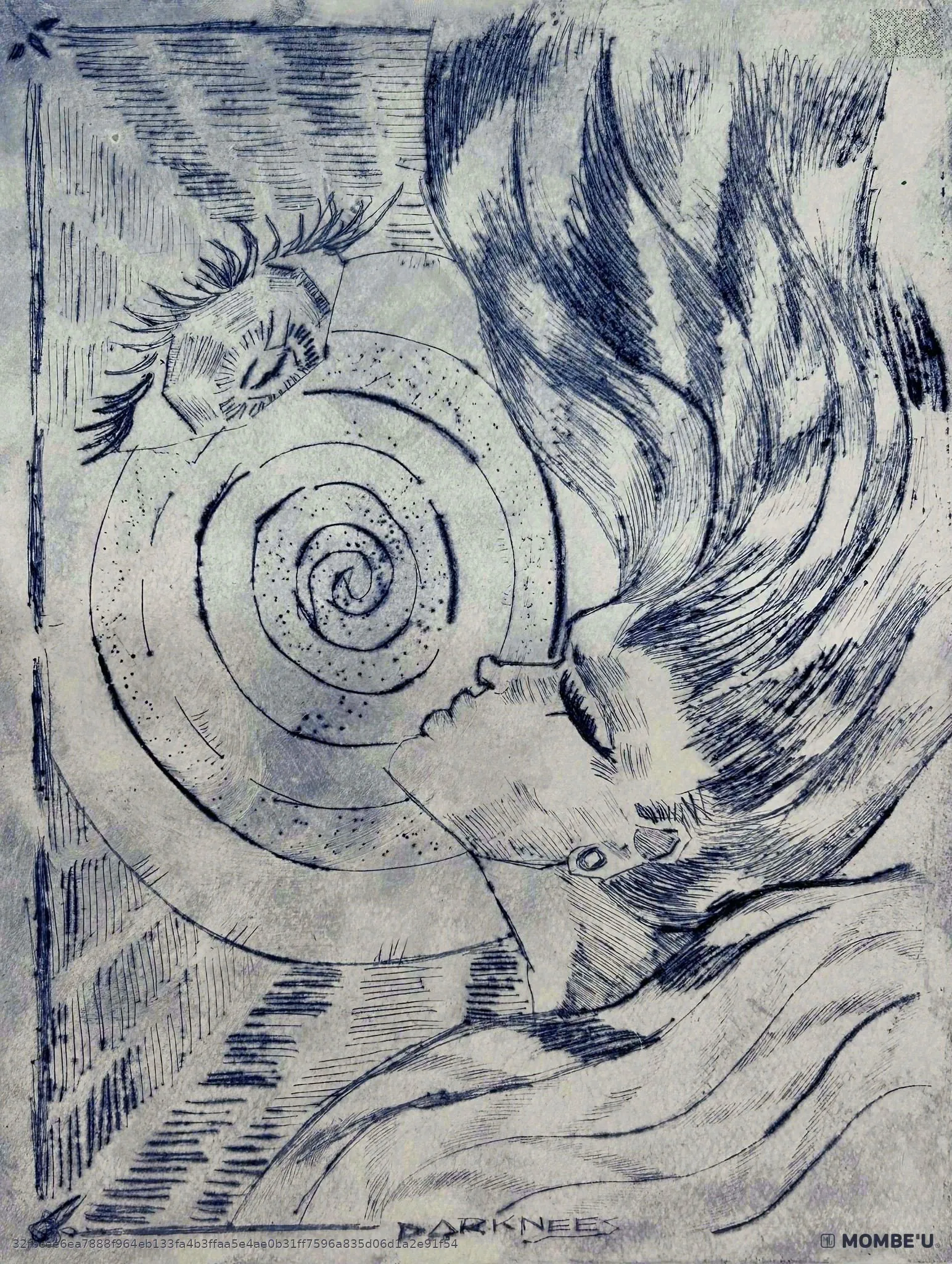 El ojo y la herida