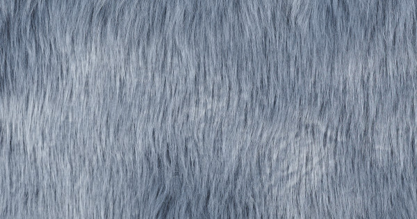 Heather Gray