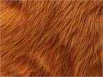 Rust Shaggy