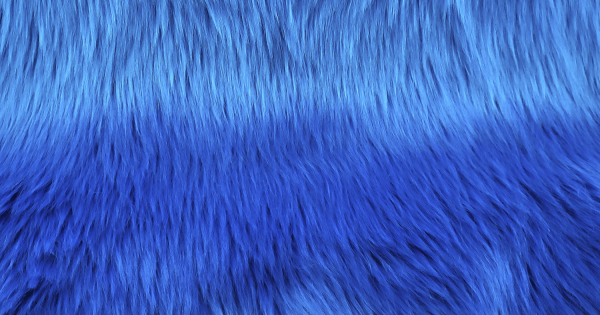 Cobalt Blue Luxury Shag