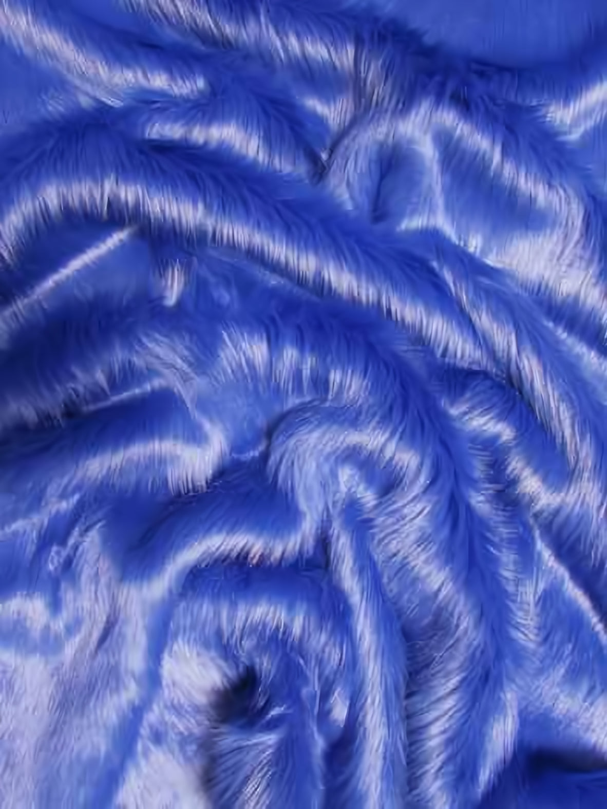 Royal Blue Shaggy