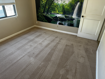 Lux1bedroomcarpet2.png