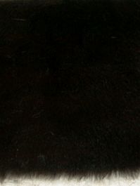 Feather Black