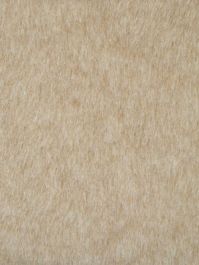 Honey Beige Short Teddy Bear