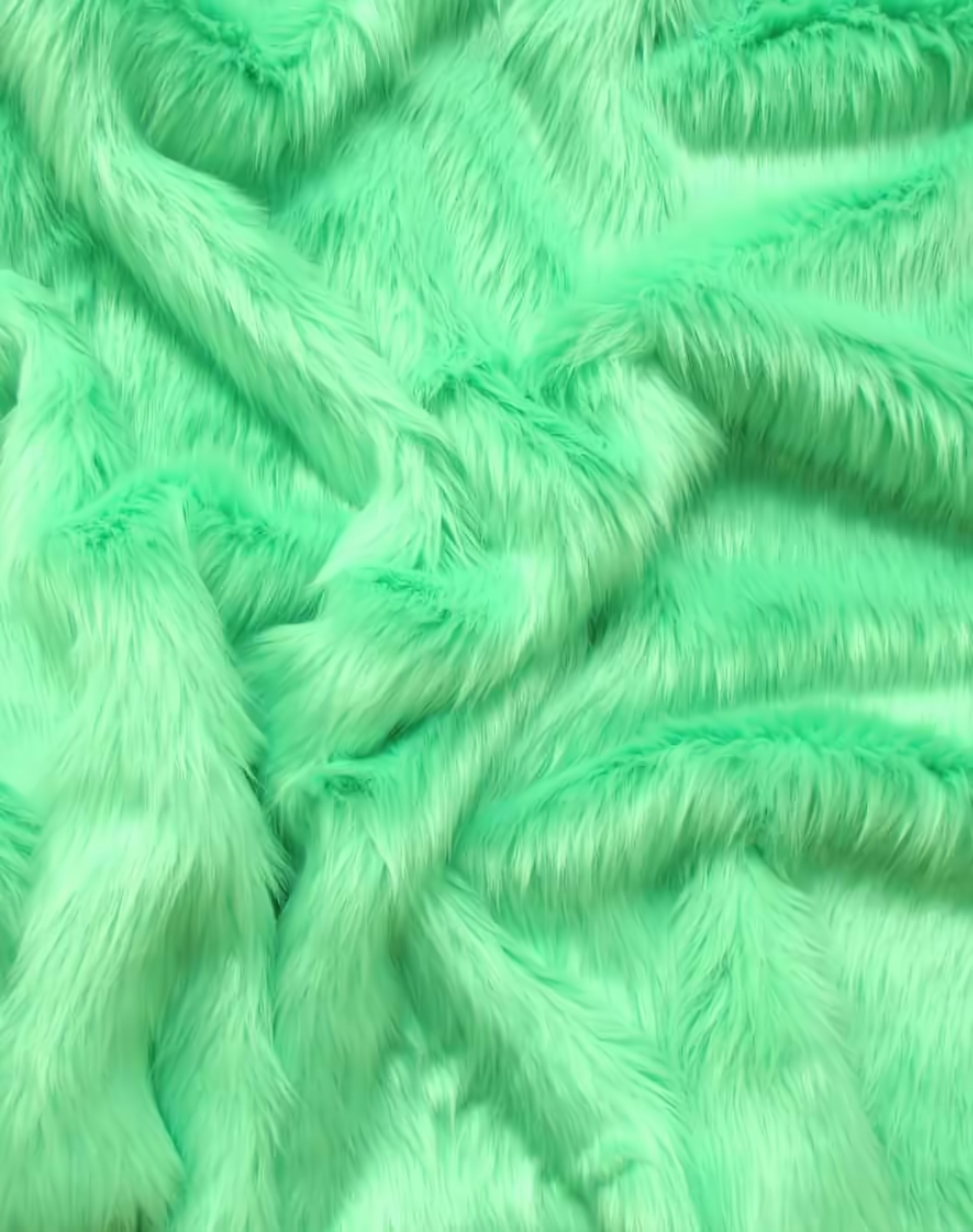 Mint Shaggy