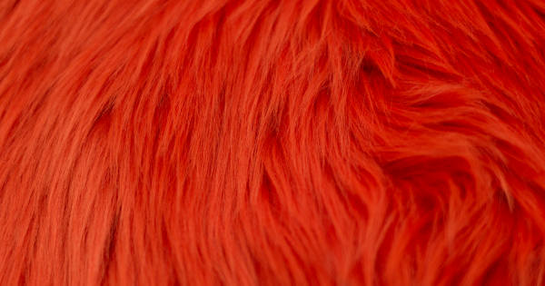 Burnt Orange Luxury Shag