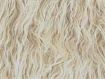 Beige Mongolian