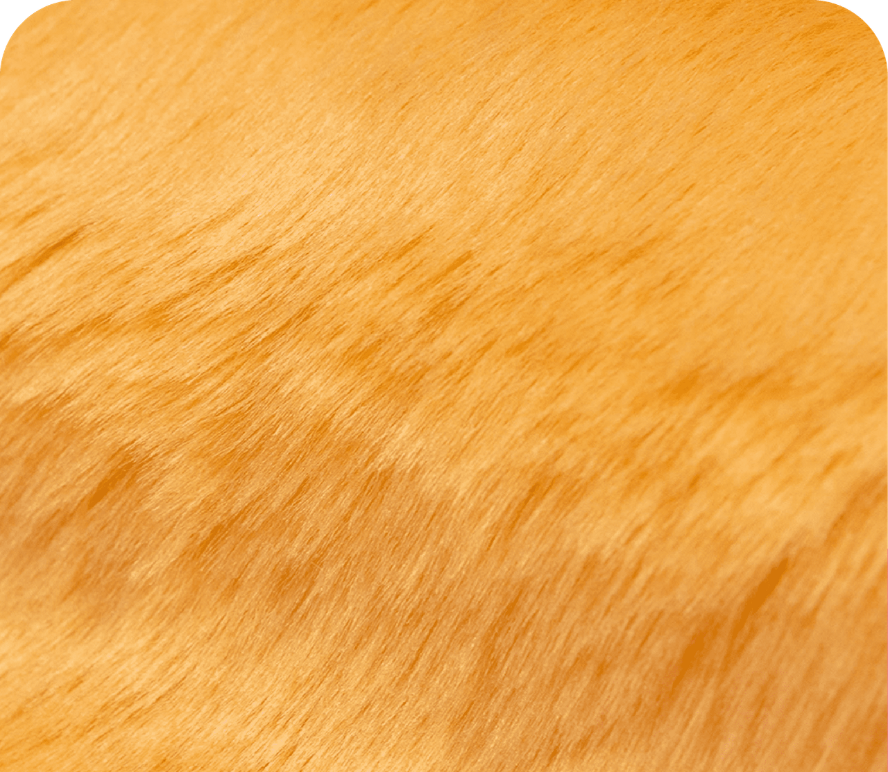 Light Orange