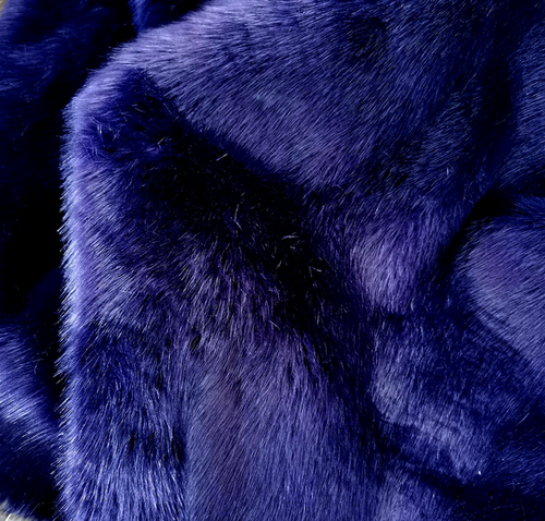 Midnight "Teddy Fox"